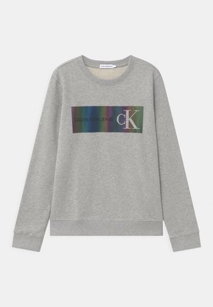 REFLECTIVE LOGO - Felpa - grey