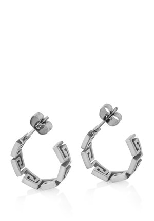 ARGIUS - Earrings - silver coloured