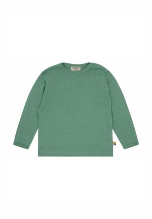 Green long-sleeve shirt made of cotton, featuring a round neckline and ribbed cuffs. No patterns; side has a small, multicolored tag detail.