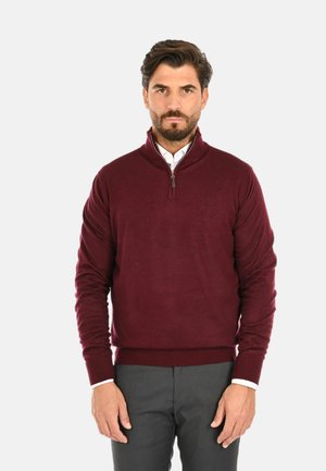 Maglione bordeaux con zip e collo a giro, realizzato in un morbido tessuto a maglia, con polsini e orlo a costine, indossato sopra una camicia bianca con colletto.