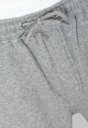 Reell LOGO - Tracksuit bottoms - grey melange