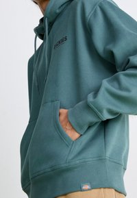 Sudadera con capucha verde con bolsillo canguro, puños y dobladillo acanalados. Presenta un logo negro en el pecho y una etiqueta en el lateral inferior. Textura suave.