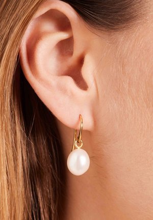 CLASSIC - Boucles d'oreilles - gold-coloured