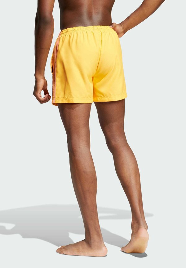 ADIC - Swimming shorts - real gold2