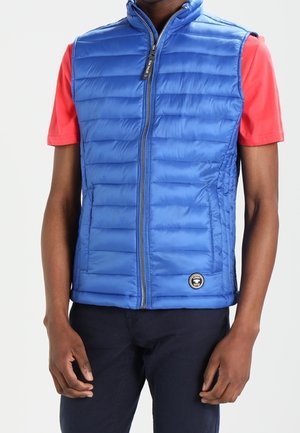 Mężczyzna ubrany w niebieską pikowaną kamizelkę bez rękawów na czerwonej koszulce z krótkim rękawem i ciemne spodnie, stojący na jednolitym tle.