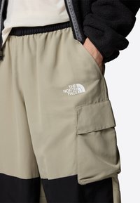 The North Face HIMALAYAN - Kareiviško stiliaus kelnės - clay grey tnf black