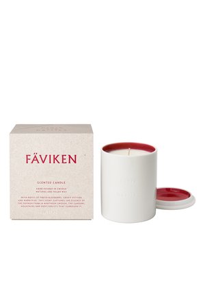 KERZEN FÄVIKEN SCENTED CANDLE - Duftkerze - -