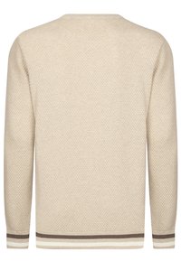 Knitted beige sweater with a textured pattern and long sleeves. Features striped brown and cream accents at the cuffs and hem.