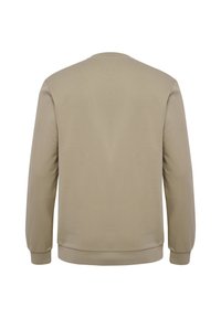 beige sweatshirt, rund hals, mjukt texturerat tyg, långa ärmar, ribbade mudd och nederkant, enkel design, inga synliga mönster eller grafik.