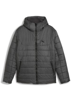 ESSENTIALS WATTIERTE KAPUZEN - Winterjacke - dusky gray
