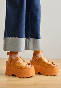 Selected, dark apricot