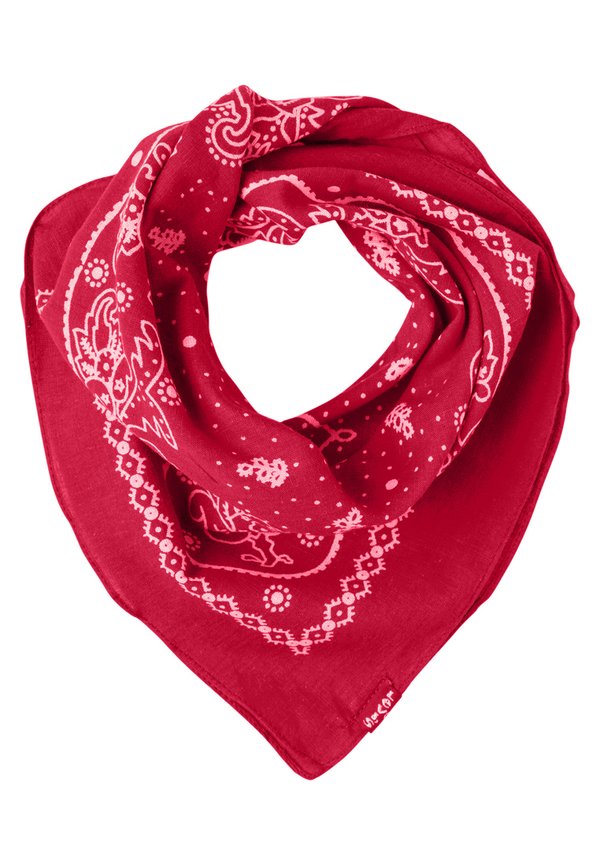PAISLEY BANDANA UNISEX - Foulard2