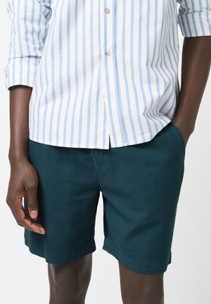 Camicia a righe in blu chiaro e bianco, abbinata a pantaloni corti verde scuro. La camicia presenta maniche arrotolate e bottoni di legno.
