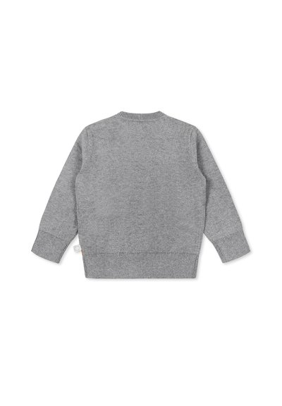 Maglione grigio lavorato a maglia con scollo rotondo, maniche lunghe e polsini a costine. Design semplice senza ulteriori motivi o accenti.