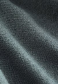 Next REGULAR FIT QUARTER ZIP LONG SLEEVE - Top s dlouhým rukávem - sage green