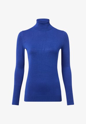 Pull à col roulé bleu fabriqué à partir d'un matériau lisse et léger. Il est doté de manches longues et d'une coupe ajustée avec un col et un ourlet côtelés.