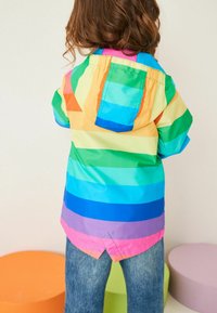 Veste à capuche colorée avec des rayures horizontales arc-en-ciel dans différentes couleurs, fabriquée en matériau brillant et léger. Ourlet rose notable et accents bleus.