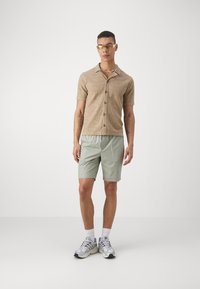 Only & Sons ONSDENVER LIFE REG - Skjorter - chinchilla