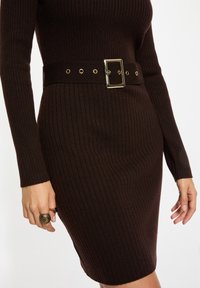 Braunes, geripptes Strickkleid mit langen Ärmeln, ausgestattet mit einem breiten Gürtel mit einer quadratischen goldenen Schnalle und Ösen. Nahaufnahme des Taillenbereichs.
