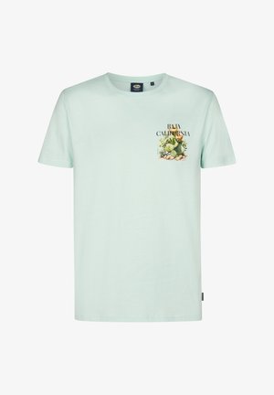 Jasnozielony bawełniany T-shirt z krótkimi rękawami. Z przodu na lewej piersi nadruk z kaktusami i napisem "BAJA CALIFORNIA".
