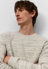 Jonge man met kort bruin haar draagt een lichtbeige gestreepte gebreide trui, met de armen gekruist, terwijl hij zijwaarts kijkt tegen een effen lichte achtergrond.