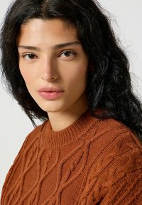 Wrangler CABLE KNIT SWEATER - Maglione - gingerbread