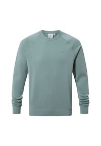 Light green crewneck sweatshirt made from soft cotton, featuring ribbed cuffs and hem, and a small brand logo on the chest.
