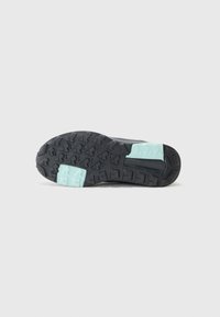 Adidas Terrex ANYLANDER - Chaussures de marche - aurora plum/core black/trace brown