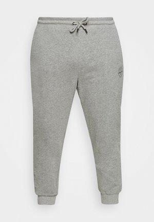 Pantaloni jogger in cotone grigi con vita elastica, cordoncino regolabile e polsini affusolati. Presentano un logo discreto sul lato.