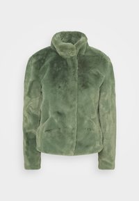 Giacca in pelliccia sintetica verde con colletto alto, maniche lunghe e una superficie morbida e strutturata. Presenta due tasche laterali. Design semplice.