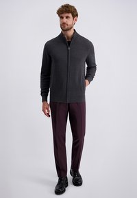 Dunkelgrauer Pullover mit Reißverschluss, Stehkragen und gerippten Bündchen, kombiniert mit weinroten Hosen und schwarzen Schuhen, vor einem schlichten Hintergrund stehend.