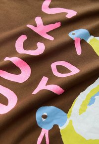 Material maro cu text roz mare "DUCKS" alături de ilustrații colorate de rațe cu accente albastre, verzi, galbene și roșii.