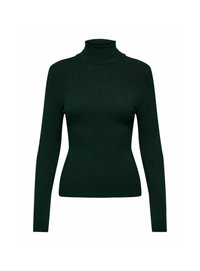 ONLY ONLKAROL ROLL NECK - Jumper - scarab