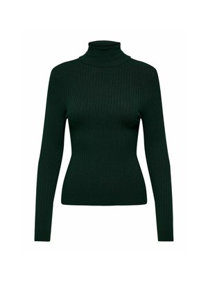 ONLY ONLKAROL ROLL NECK - Trui - scarab