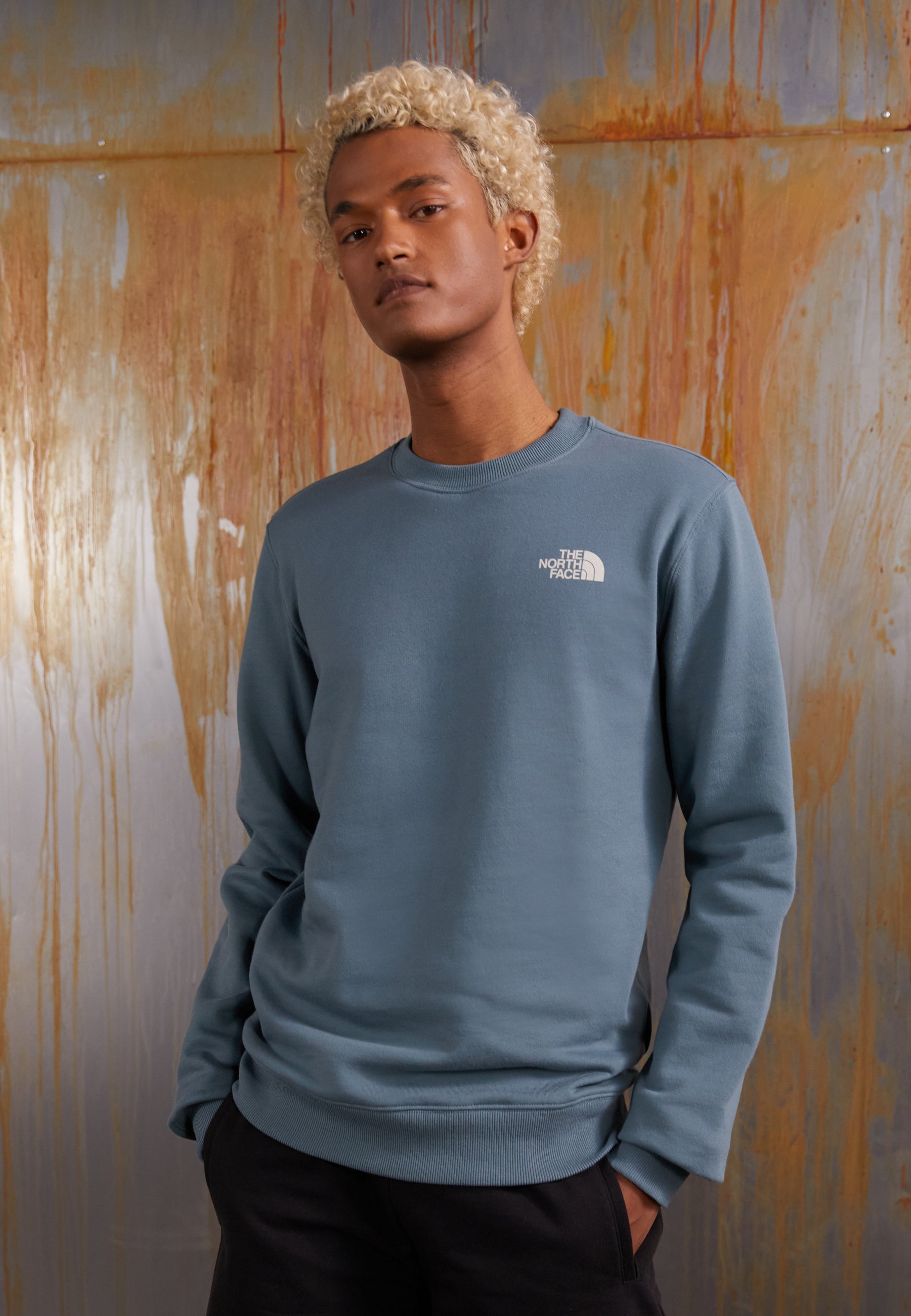 The North Face MOUNTAIN OUTLINE CREW GOBLIN - Sweatshirt - blue/white/blue  - Zalando.de