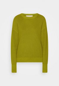 Grüner Strickpullover mit Rundhalsausschnitt, überschnittenen Schultern und gerippten Bündchen und Saum. Die strukturierte Stoffqualität verleiht dem Design Tiefe.