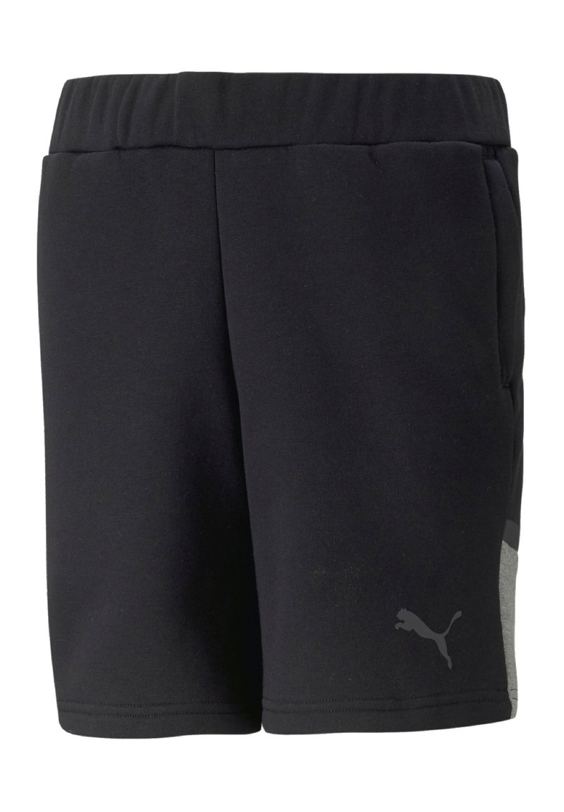 Puma TEAMCUP CASUALS - Pantaloni sportivi - schwarz
