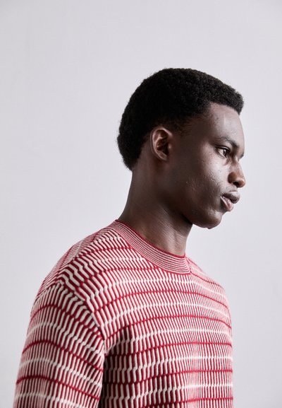 Pull en maille rayé rouge et blanc avec un col côtelé, présentant un motif texturé et une coupe classique, porté par une personne vue de côté.