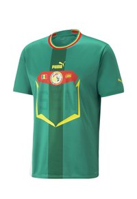 Grøn kortærmet fodboldtrøje lavet af åndbart materiale. Har horisontale striber, dristige grafik, Puma-logo og nationalt emblem.