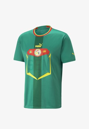 Maillot de soccer vert à manches courtes en matériau respirant. Doté de rayures horizontales, de graphiques audacieux, du logo Puma et de l'emblème national.