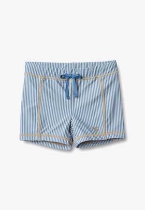 Siniset ja valkoiset pystysuunnassa raidalliset uimashortsit, joissa on beigenväriset ompeleet ja sininen kiristysnauha vyötäröllä.