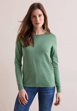 Grüner Langarmpullover aus weichem Stoff, mit Rundhalsauschnitt und schmalen Bündchen. Kombiniert mit blauen Jeans, einfarbiger Hintergrund.