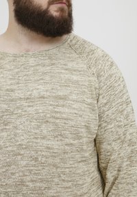 Pulover texturat de culoare bej deschis, cu guler rotund și mâneci raglan, având un model subtil melanj și un material tricotat moale.