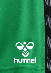 Pantalones cortos deportivos verdes hechos de tejido texturizado, con un logo blanco y un patrón decorativo negro en los laterales.