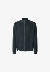 Nevybráno, dulwich blue