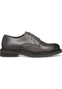 Geox Stringate - taupe