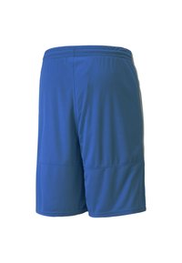 Pantaloni sportivi blu realizzati in tessuto leggero, con una vita elastica, taglio fino al ginocchio e superficie liscia senza motivi.
