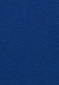 Tessuto piano e strutturato di un profondo blu. La superficie presenta un motivo sottile, conferendo profondità e ricchezza al colore.