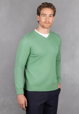 Giesswein COTTON PULLOVER V NECK - Strickpullover - heugrün