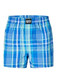 Blue plaid swim shorts featuring an elastic waistband, varying shades of blue and green, with white stripes and a black logo tag.